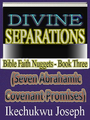 cover image of Divine Separations (Seven Abrahamic Covenant Promises)